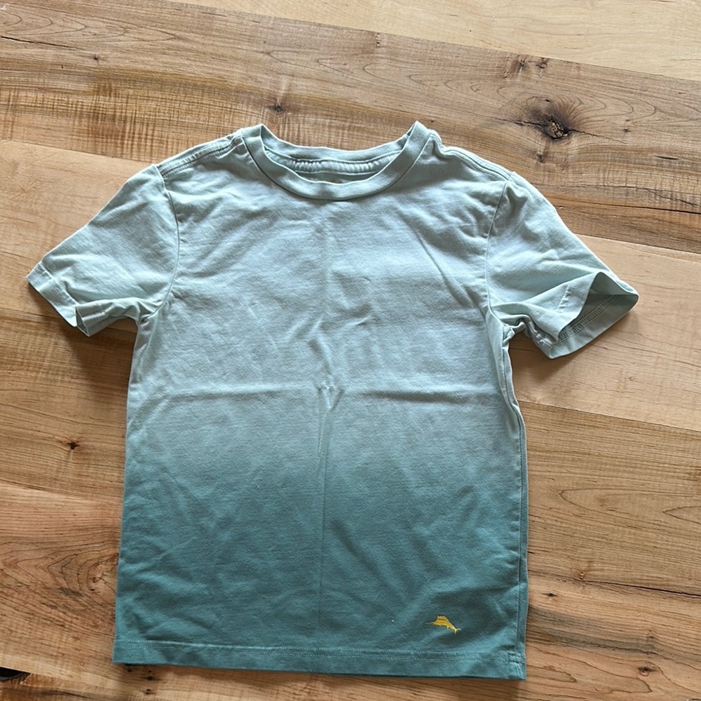 Boys Teal Ombre T-Shirt